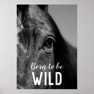 Born till Vild Black & White Close Horse Öga Poster