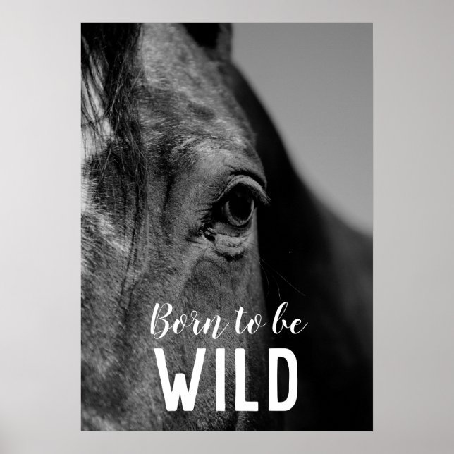 Born till Vild Black & White Close Horse Öga Poster (Framsidan)