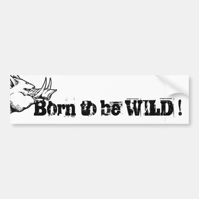 Born to be WILD ! Bildekal (Framsidan)
