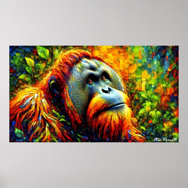 Bornean orangutan 5 poster (Framsidan)