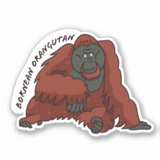’Bornean Orangutan’ Sticker Klistermärken