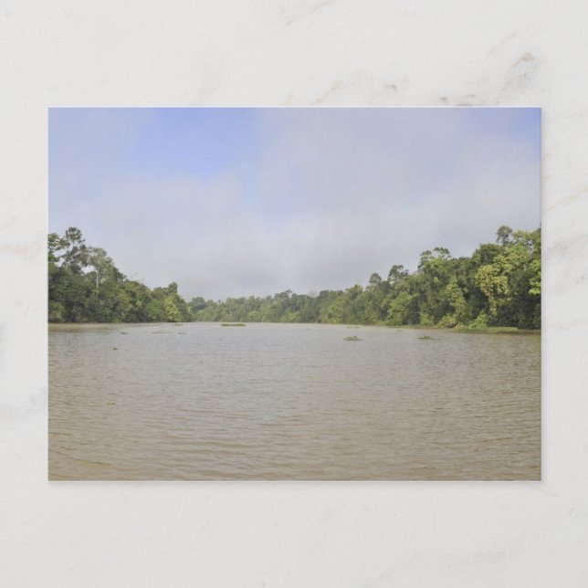 Borneo Island, Malaysia, panoramisk vy Vykort (Framsida)