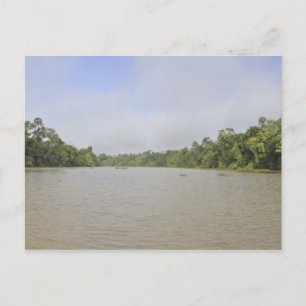 Borneo Island, Malaysia, panoramisk vy Vykort