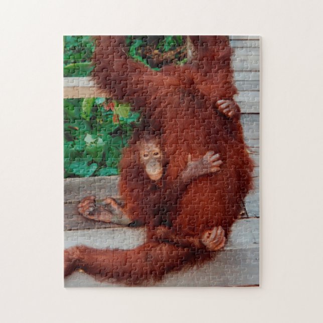 Borneo orangutan 252-pc pussel (Vertikal)