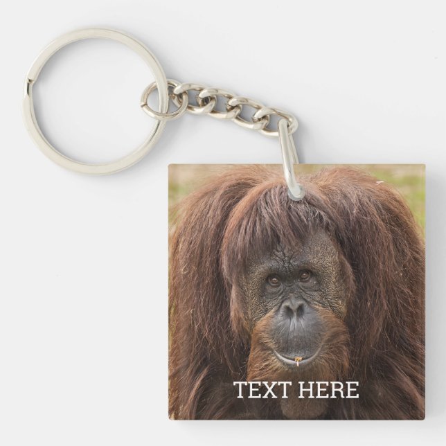 Borneo Orangutan BeSnygg fotografi (Framsidan)