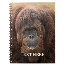 Borneo Orangutan BeSnygg fotografi Anteckningsbok
