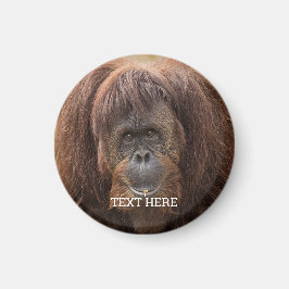 Borneo Orangutan BeSnygg fotografi Magnet