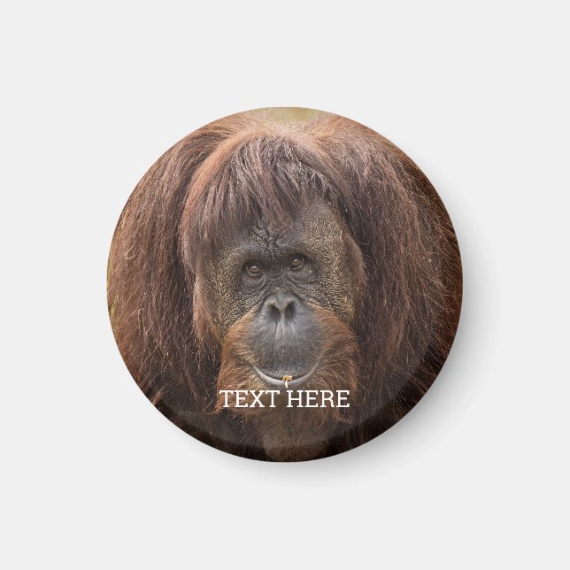 Borneo Orangutan BeSnygg fotografi Magnet (Framsidan)