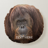 Borneo Orangutan BeSnygg fotografi