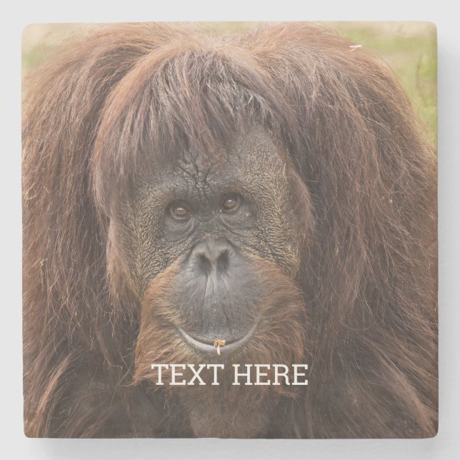 Borneo Orangutan BeSnygg fotografi Stenunderlägg (Framsidan)