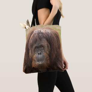 Borneo Orangutan BeSnygg fotografi Tygkasse