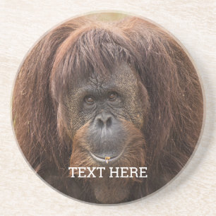 Borneo Orangutan BeSnygg fotografi Underlägg