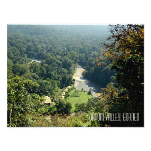 Borneo Rainforest Jungle Danum Valley Photograph Fototryck