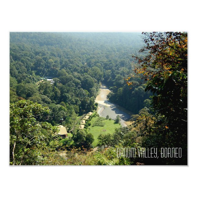 Borneo Rainforest Jungle Danum Valley Photograph Fototryck (Framsidan)