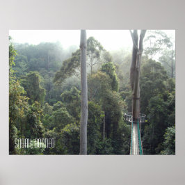 Borneo Rainforest Jungle Treetops Walkway Sabah Poster