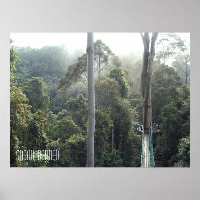 Borneo Rainforest Jungle Treetops Walkway Sabah Poster (Framsidan)