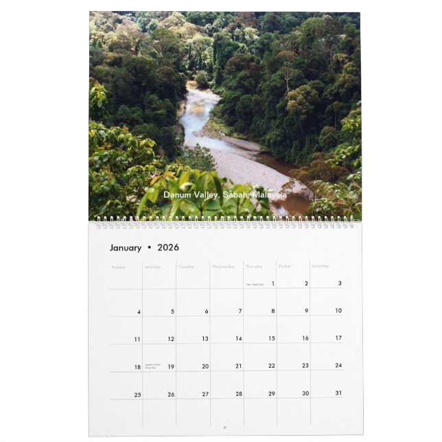 Borneo Rainforestkalender Kalender (Jan 2026)