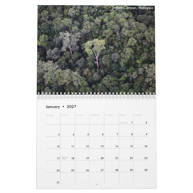 Borneo Rainforestkalender Kalender (Jan 2027)
