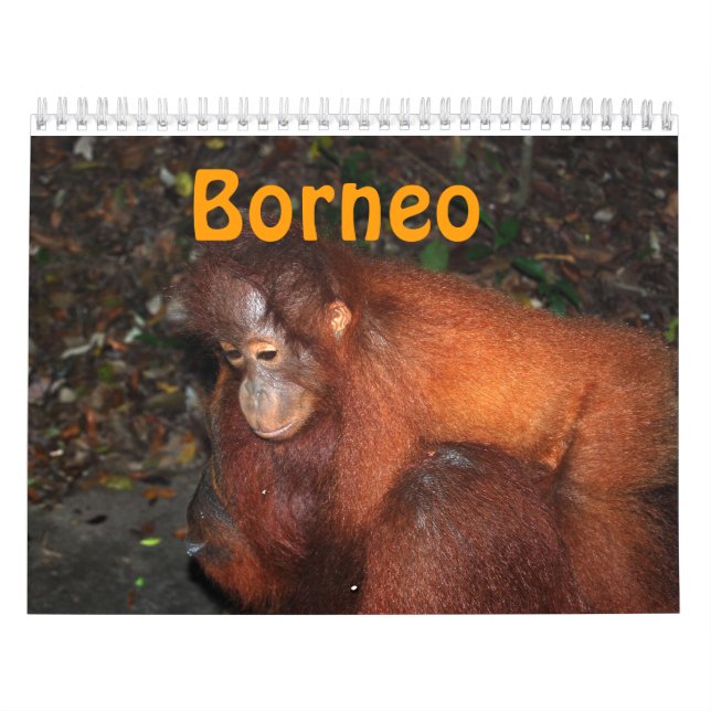 Borneo reser och Orangutans Kalender (Omslag)