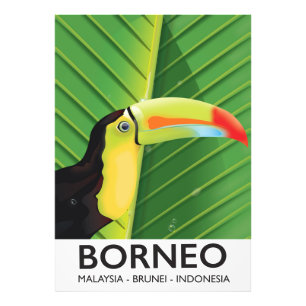 Borneo Toucan-reseaffisch Fototryck