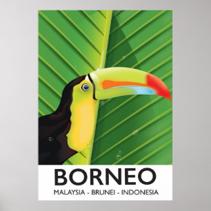 Borneo Toucan-reseaffisch Poster