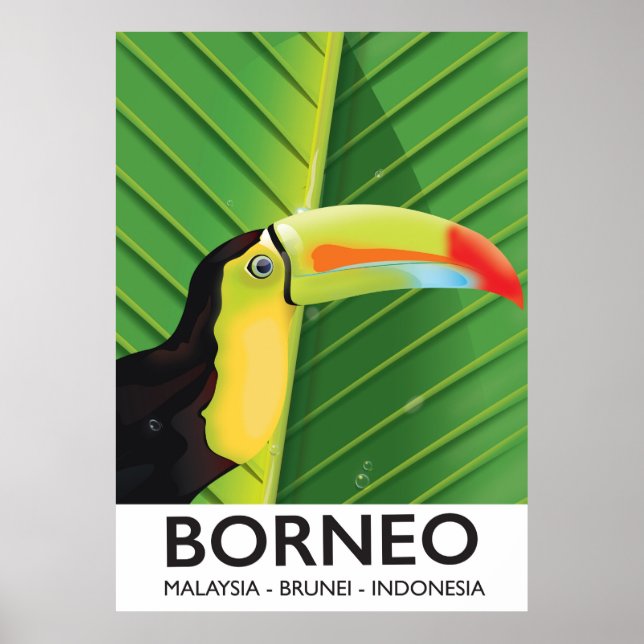 Borneo Toucan-reseaffisch Poster (Framsidan)
