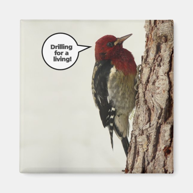 Borrning för en levande magnet (Framsidan)