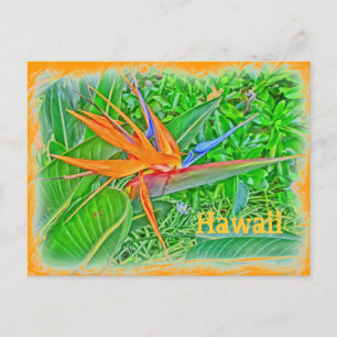 Bort från Hawaii-paradiset Vykort