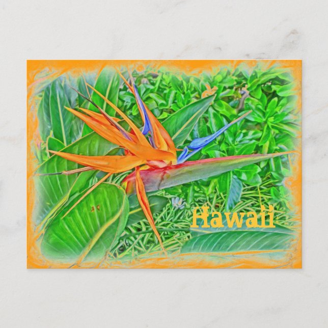 Bort från Hawaii-paradiset Vykort (Framsida)