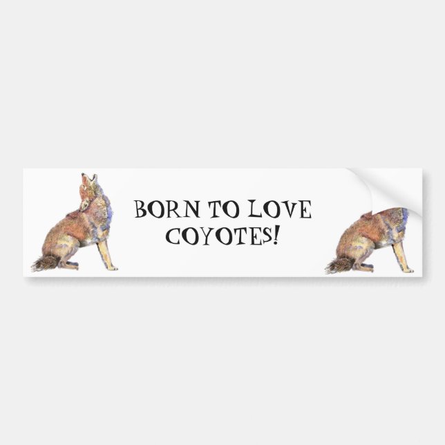 BORT TILL KÄRLEK COYOTES VILD ANIMAL QUOTE ART BILDEKAL (Framsidan)