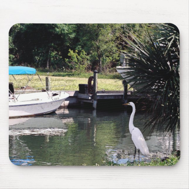 borta fiske! musmatta (Framsidan)