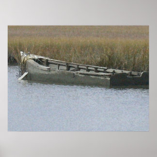 Borta fiske poster