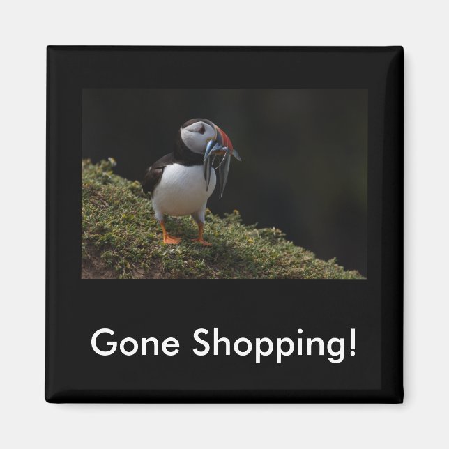 Borta köpande Fisher Puffin Magnet (Framsidan)