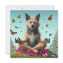 borta lugn för hund