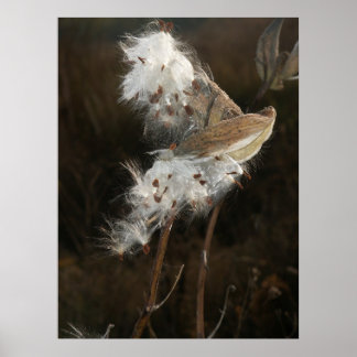 Borta med Vinden Poster