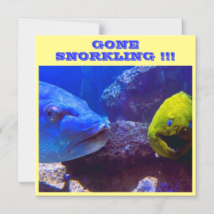 BORTA SNORKLING CRUISE FRAKT DOR MAGNET
