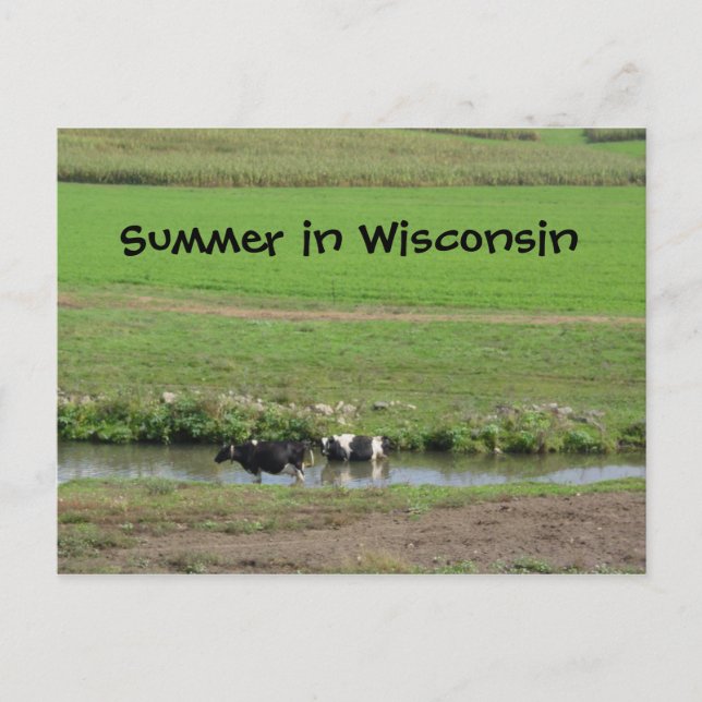 Borta Swimmin' Vykort (Framsida)