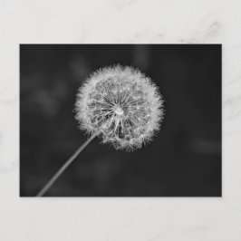 Borta till utsäde vykort