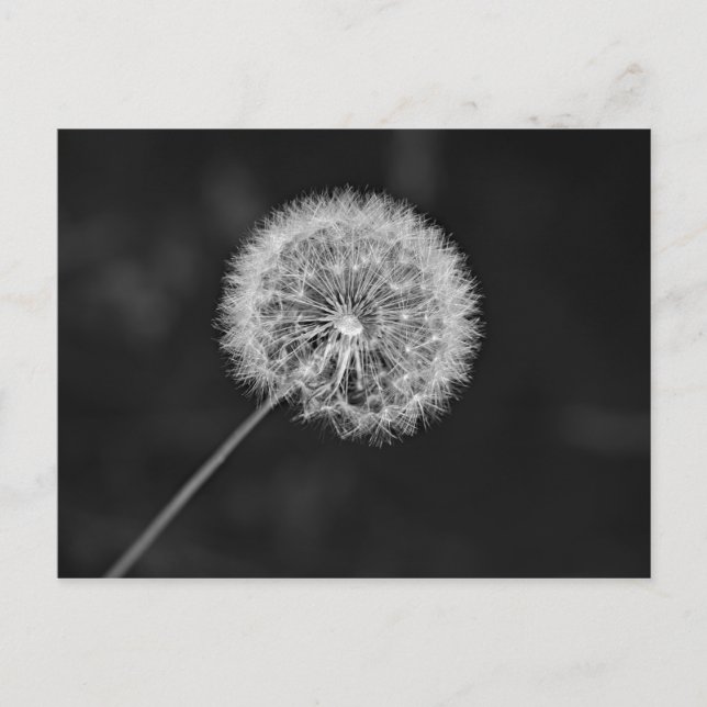 Borta till utsäde vykort (Framsida)