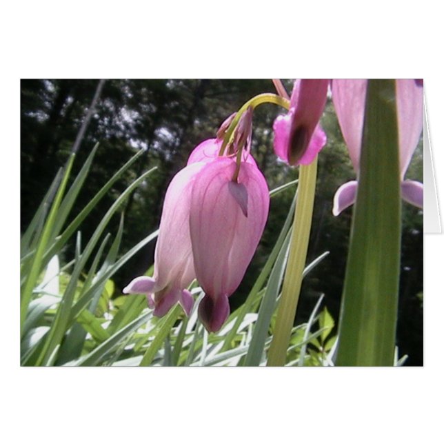 borta vild för hjärtor hälsningskort (Framsidan Horizontal)