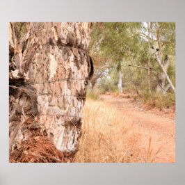 "Bortom den gamla stenen" Poster Australian Scenia