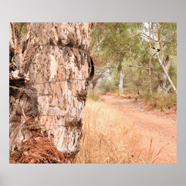 "Bortom den gamla stenen" Poster Australian Scenia (Framsidan)