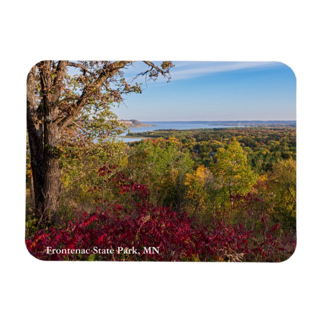 bortse från sjö-pepin från frontenacstatsparken magnet (Horisontell)