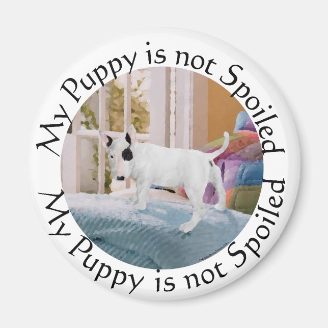 Bortskämd? Bull Terrier Valp . . . Inte alls! Magnet (Framsidan)