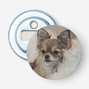 Bortskämd Chihuahua Avslappnad Flasköppnare