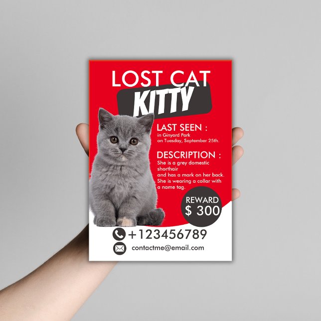 Borttappad Cat Flyer-mall - Anpassadet saknas Flygblad (Skapare uppladdad)