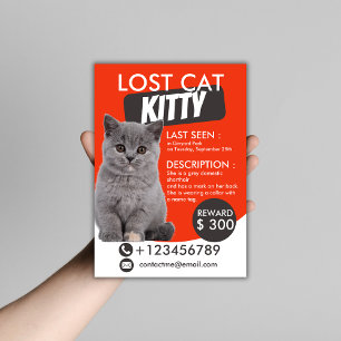 Borttappad Cat Flyer-mall - Anpassadet saknas Flygblad