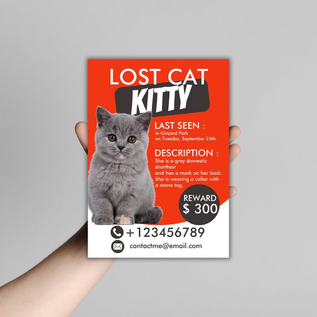 Borttappad Cat Flyer-mall - Anpassadet saknas Flygblad (Skapare uppladdad)