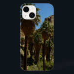 Borttappad Handflatan Oasis I i Joshua Träd nation<br><div class="desc">I nationalparken Joshua Träd finns det flera verkliga ökenoaser, varav den största är Borttappad Handflatan Oasis. Det är en måttligt lång tid att ta sig dit, men belöningen är Kaliforniens största samling fläkt handflatan i parken. Det här fotot visas också som "Borttappad Handflatan Oasis" i widescreen-tapet från sektionen National Parker...</div>