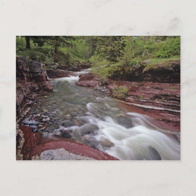 Borttappad Horse Bäck i nationalparken Waterton Sj Vykort (Framsida)